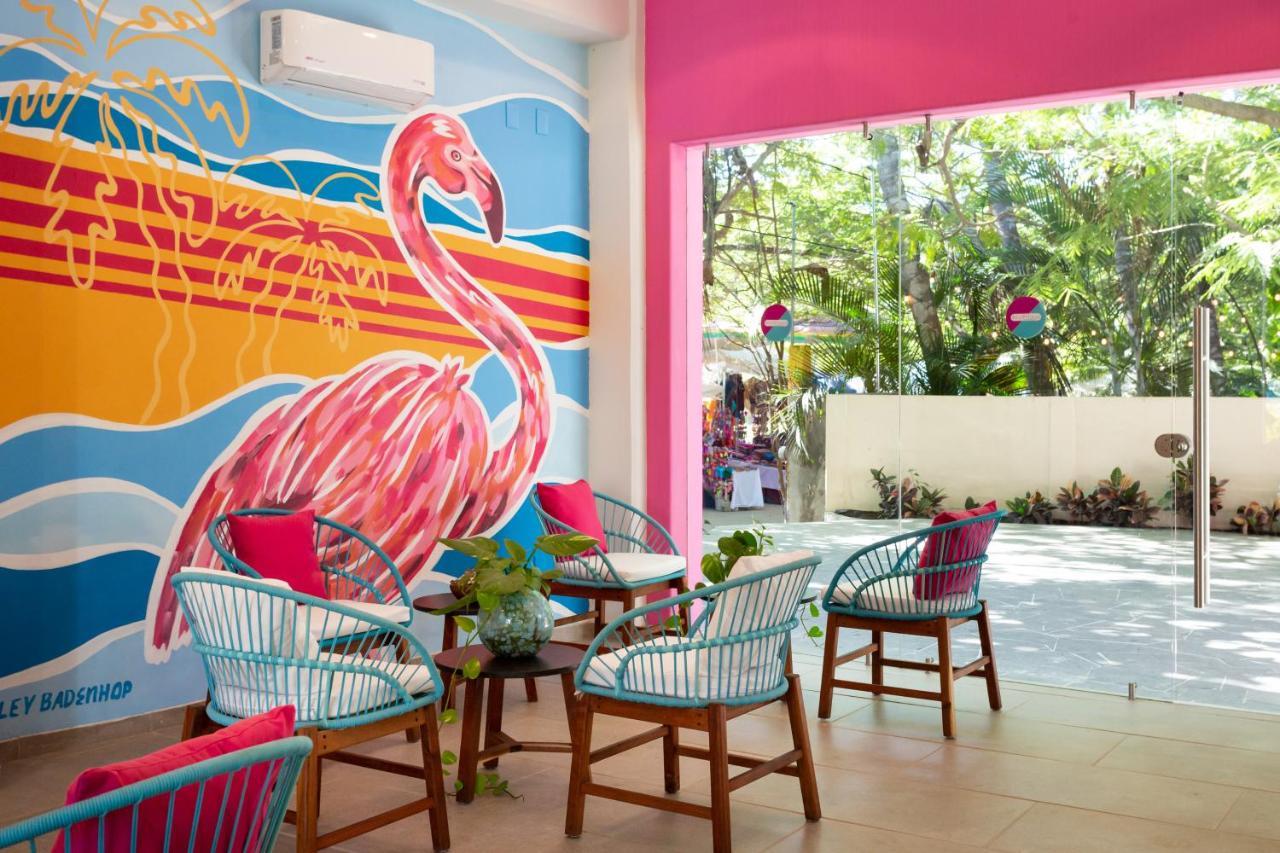 Azulpitaya Beach Front Hotel In サユリタ エクステリア 写真
